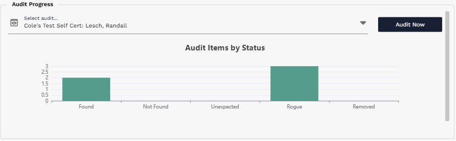 Audit Progress section showing audit item statuses for the selected audit