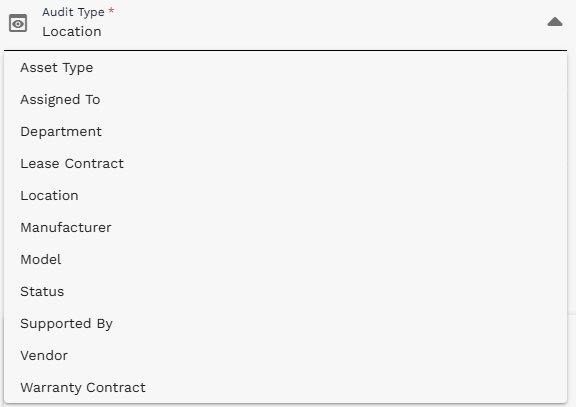 Audit Type dropdown showing common audit type options