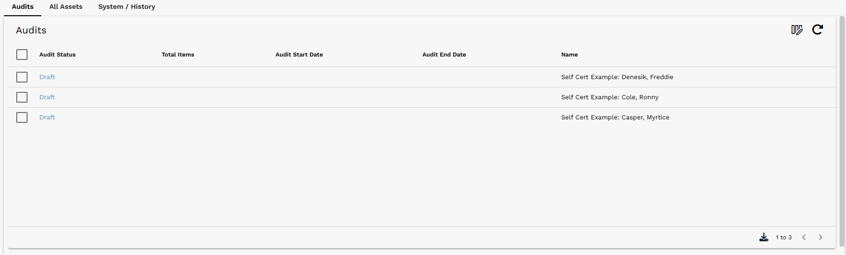 Generated Self Certification audits in Draft status