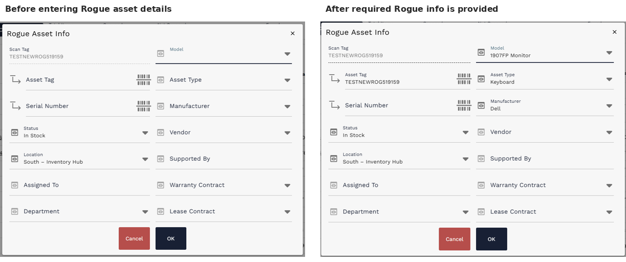 Rogue Asset Info dialog before and after required information is provided