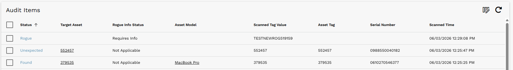 Rogue Audit Item added with Rogue Info Status set to Requires Info