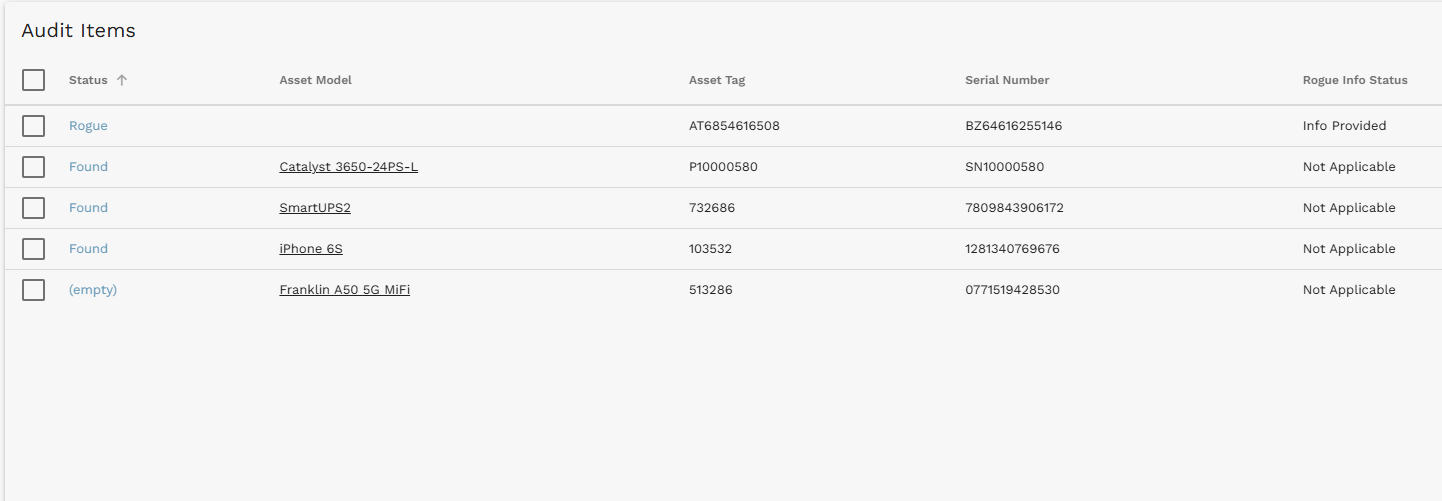 Audit Items list showing a newly added Rogue item and confirmed Found items