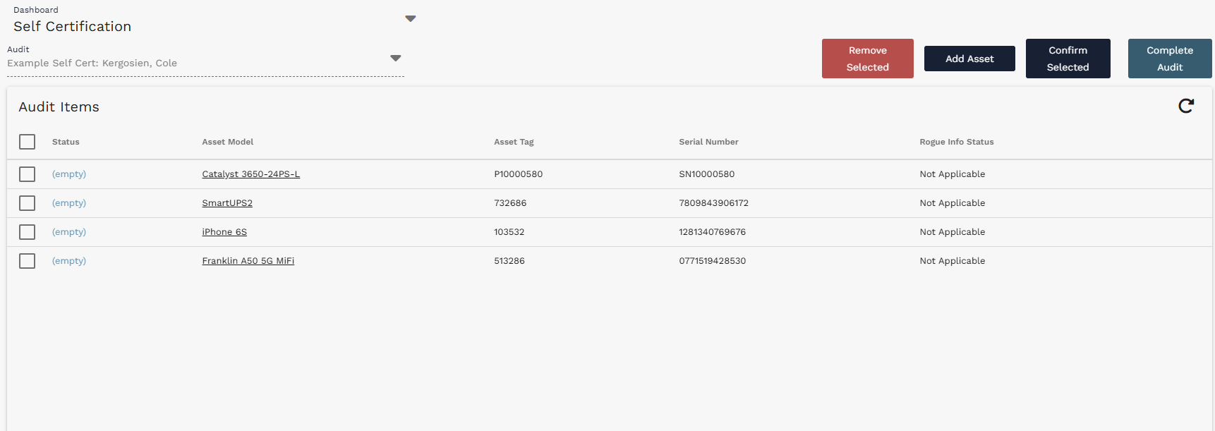 Self Certification dashboard with an audit selected and expected assets loaded into the Audit Items list